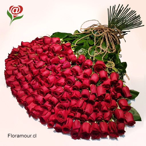 Gran ramo de 150 rosas ecuatorianos seleccionadas.
Presentaci�n de flores en formato de mazo atado envuelto decorativamente,